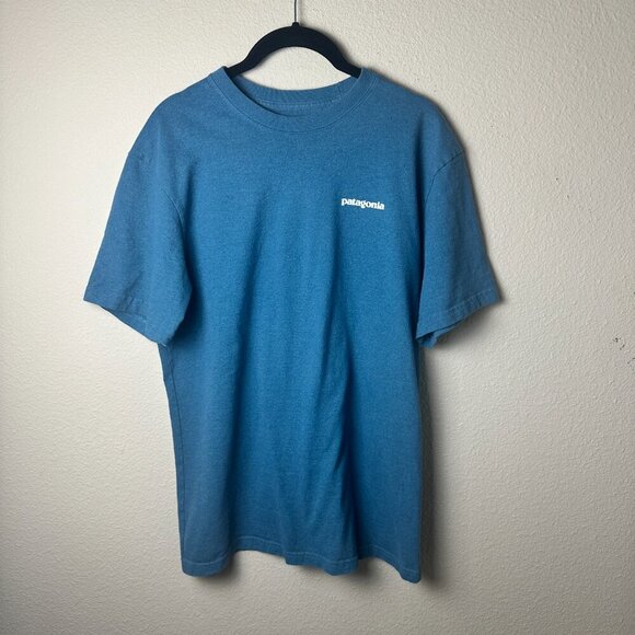 PATAGONIA Teal Regular Fit Classic Logo Tee T Shirt Size Small - Picture 2 of 7